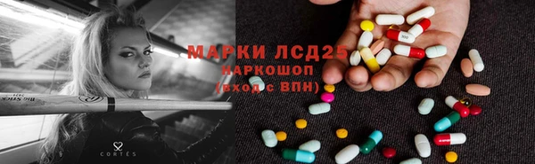 СК Коряжма
