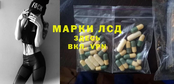 СК Коряжма