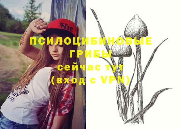 СК Коряжма