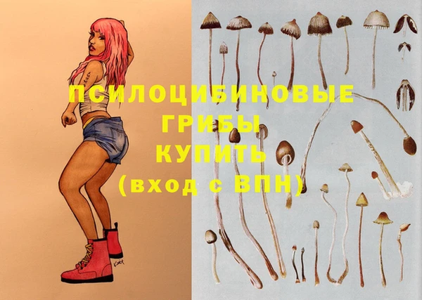 тгк Корсаков