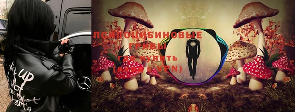 тгк Корсаков