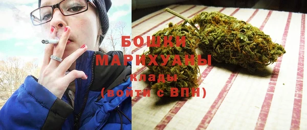 ГАЛЛЮЦИНОГЕННЫЕ ГРИБЫ Костерёво