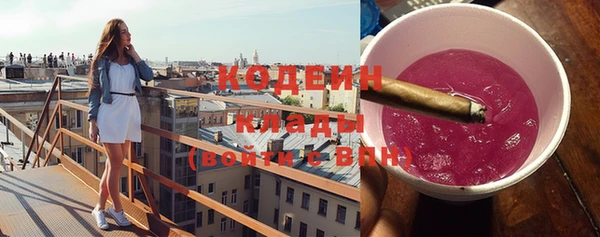 СК Коряжма