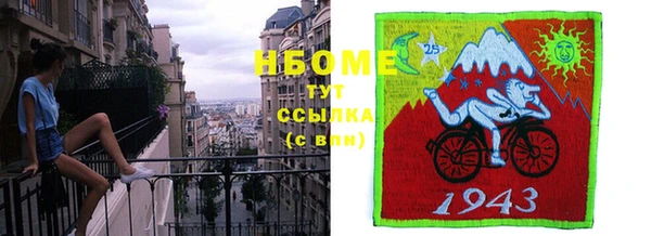 СК Коряжма