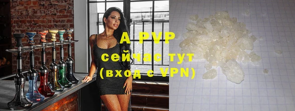 ГАЛЛЮЦИНОГЕННЫЕ ГРИБЫ Костерёво