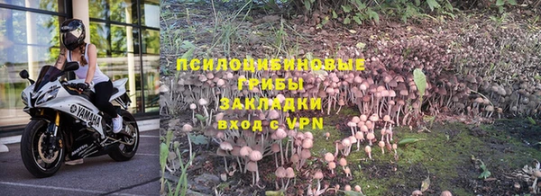 ГАЛЛЮЦИНОГЕННЫЕ ГРИБЫ Костерёво