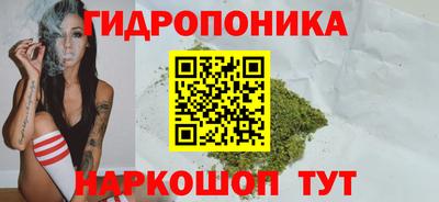 Альфа ПВП Лесосибирск
