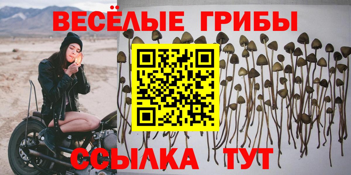 Псилоцибиновые грибы мухоморы Усинск