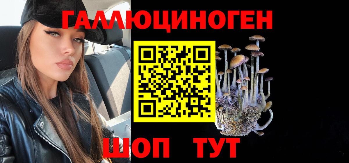 купить наркотики сайты  Вход с VPN  Усинск  Псилоцибиновые грибы GOLDEN TEACHER 